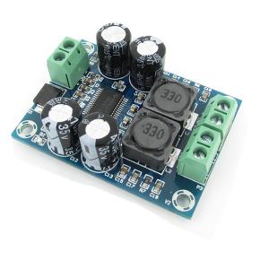 Mono 60W Digital Amplifier Board TPA3118 Audio Power Amplifier Module
